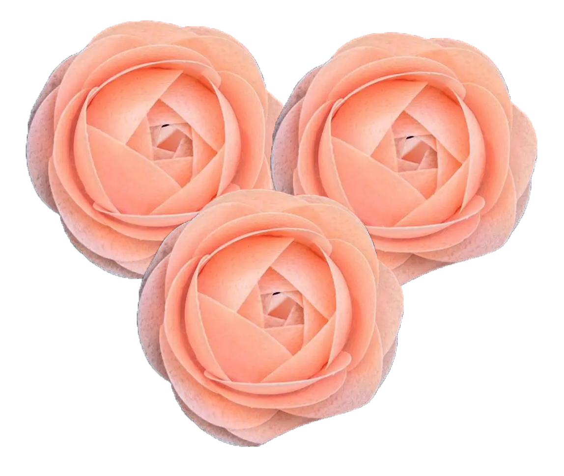 Set 3 decoratiuni comestibile din vafa, Trandafiri piersica