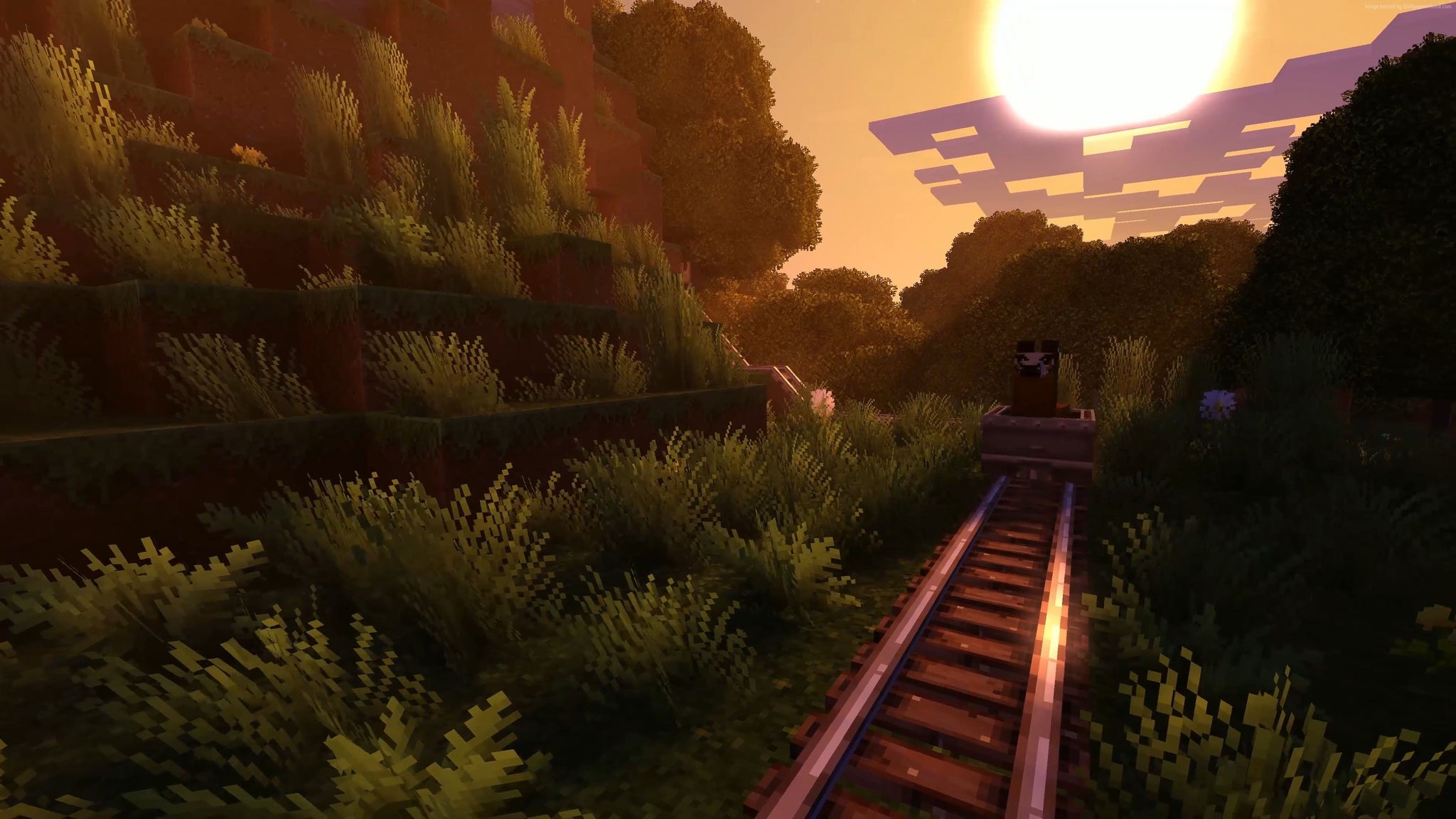 Imagine Comestibilă - Minecraft