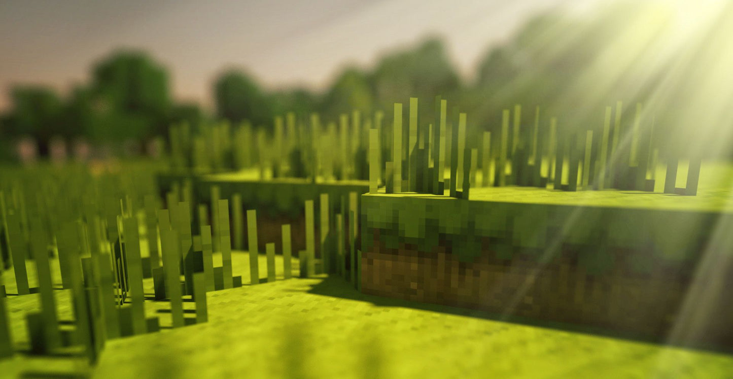 Imagine Comestibilă - Minecraft