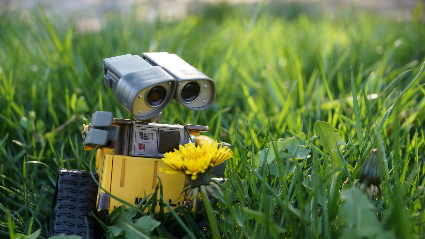 Imagine Comestibilă - walle